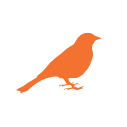 bird icon