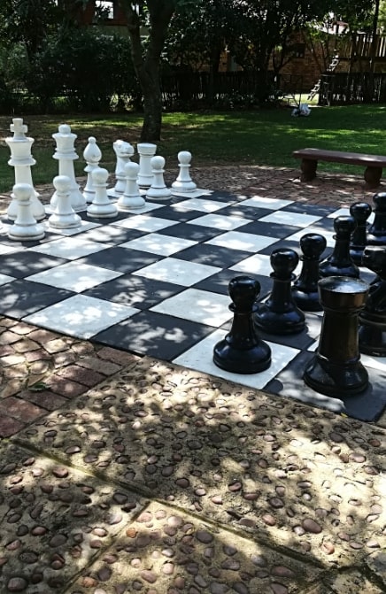 large chess